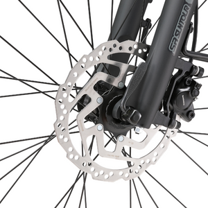 Cilo URBANFLEA CCL°03 Step-Through Road eBike